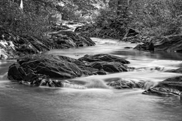 Селька Смоле Красивая Природная Река — стоковое фото