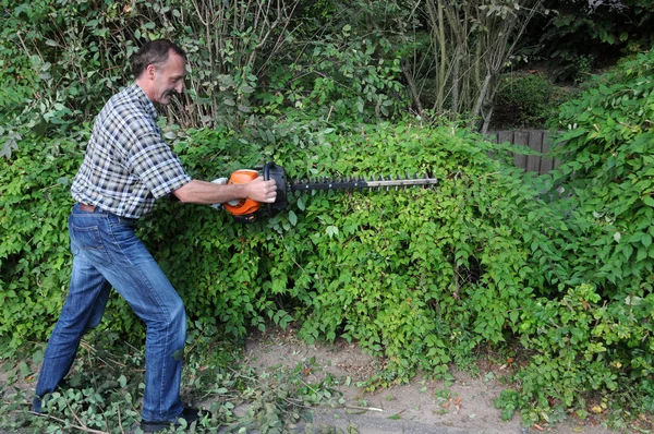 Hombre Cortando Árbol Jardín — Foto de Stock
