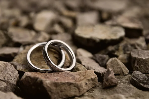 Anillos Boda Joyas Matrimonio — Foto de Stock