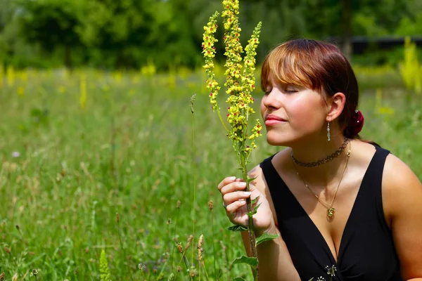 Una Mujer Joven Sienta Prado Verde Sol Huele Flor Silvestre —  Fotos de Stock