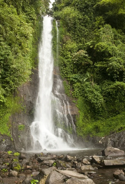 Bela Cachoeira Fundo Natureza — Fotografia de Stock