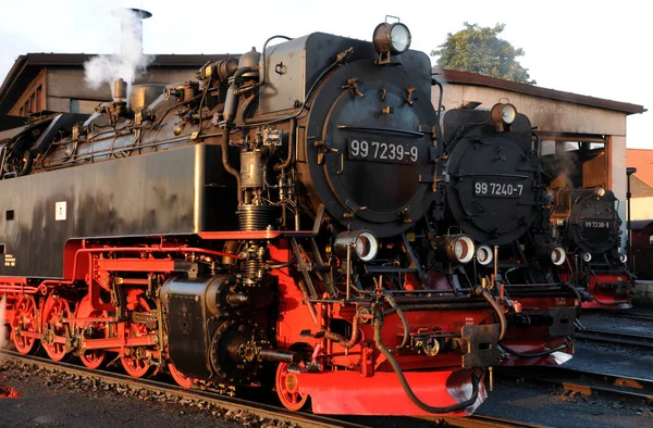 Locomotivas Vapor Ferrovia Bitola Estreita Harz — Fotografia de Stock