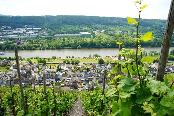 Graach Der Mosel Την Άνοιξη — Φωτογραφία Αρχείου