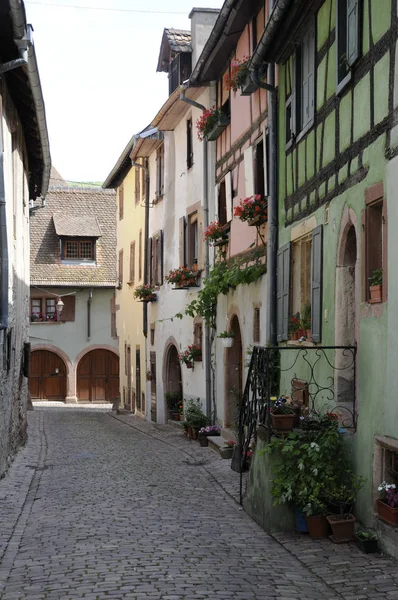 Vicolo Riquewihr Alsazia — Foto Stock