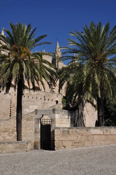 Palmai Katedrális Mallorca — Stock Fotó