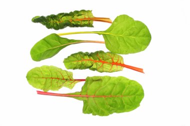 different colored chard leaves (beta vulgaris subsp. vulgaris),isolated against white background clipart