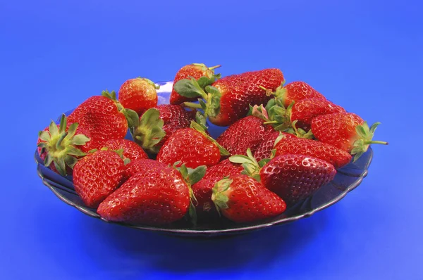 Fresh Strawberry Fruit Just Torn Bushes Lying Plate — Stock Photo, Image