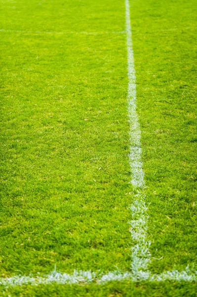 Linjer Fotbollsplan — Stockfoto