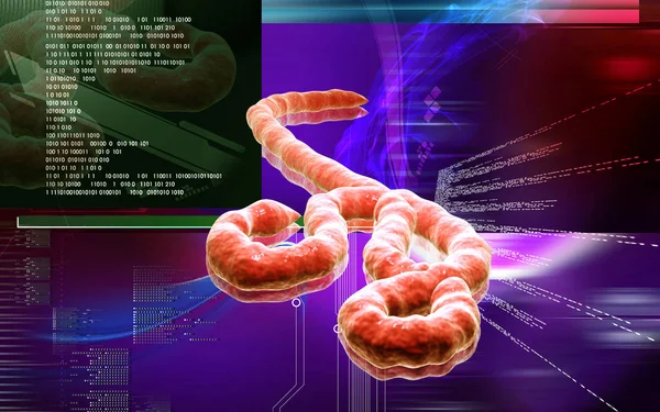 Digital Illustration Ebola Virus Colour Background — ストック写真