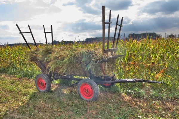 Carriage Full Loaded Grass Staying Alone Front Cornfield Cloudy Blue — Stock Photo, Image