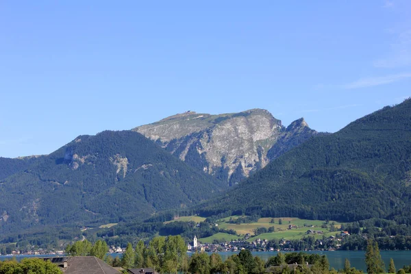 Vista Panoramica Del Lupo Selvatico Natura — Foto Stock