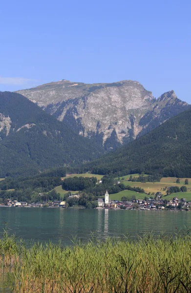 Schaapsberg Wolfgang Wolfgangsee — Stockfoto