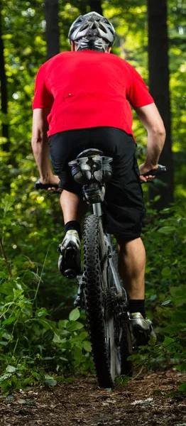 Ciclista Montaña Naturaleza —  Fotos de Stock