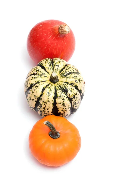 Three Pumpkins White Background - Stock-foto