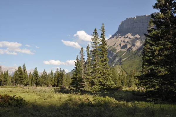 Kanada Landschaft Mit Hoodoos Bei Banff — Stockfoto