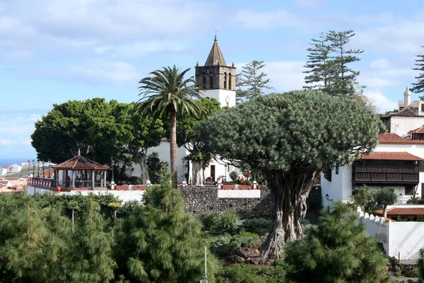 Vista Del Hielo Los Vinos Tenerife — Foto de Stock