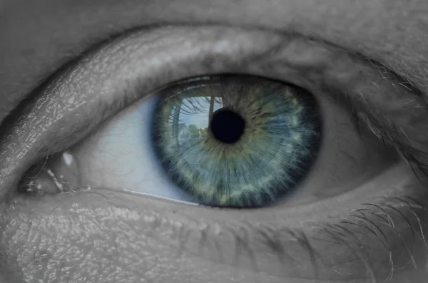 Olhos Olhos Mulher — Fotografia de Stock