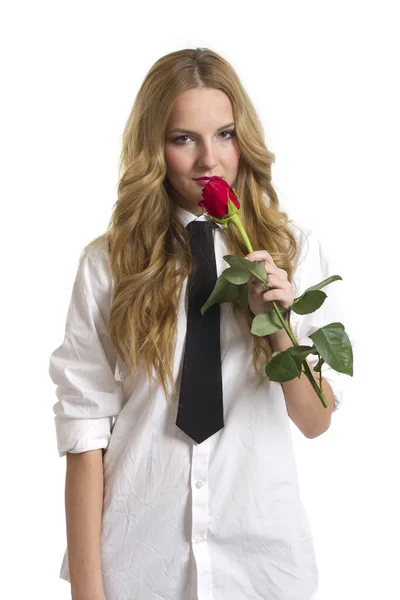 Ragazza Con Rosa San Valentino Sfondo Bianco — Foto Stock