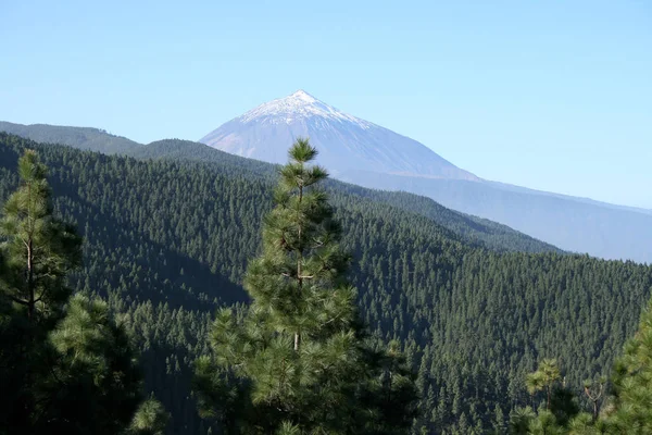 Con Vistas Cima Nevada Del Monte Teide Tenerife —  Fotos de Stock