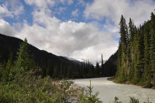 Kanada Canadá Wasserfall Rocky Mountains Takakkaw Banff National Park — Foto de Stock
