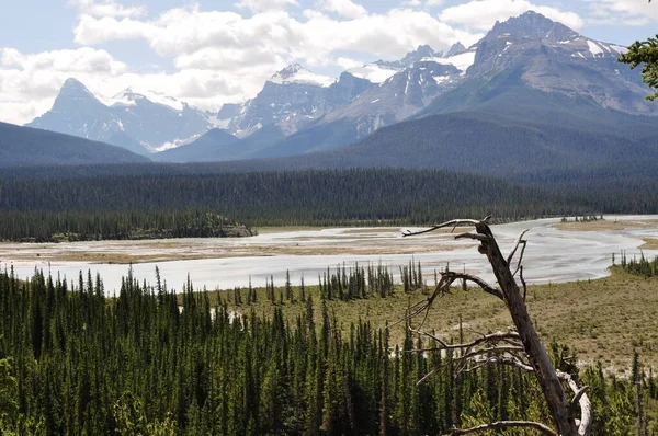 Kanada Landschaft Beim Bow Summit Den Rocky Mountains — Foto de Stock