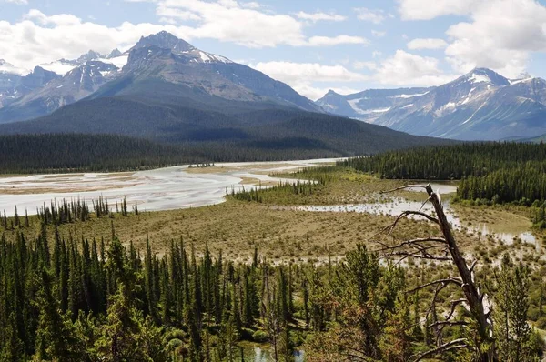 Kanada Landschaft Beim Bow Summit Den Rocky Mountains — Foto de Stock