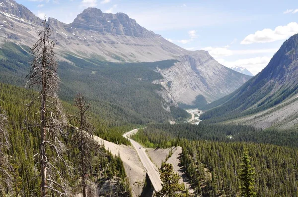 Kanada Landschaft Beim Bow Summit Den Rocky Mountains — Stock fotografie