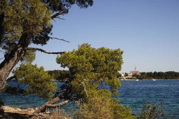 Schöne Aussicht Auf Die Adriaküste Der Nähe Von Rovinji Kroatien — Stockfoto