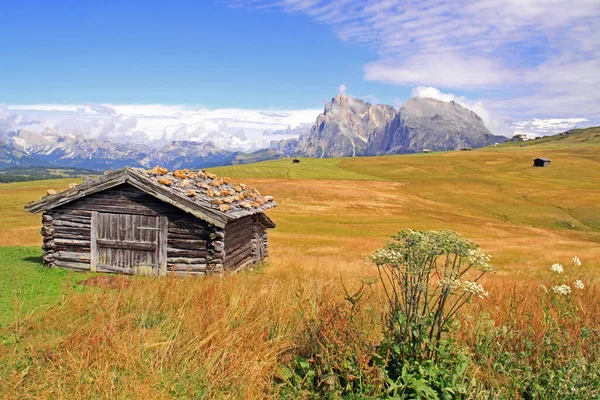 Seiseralm Südtirol — Stockfoto
