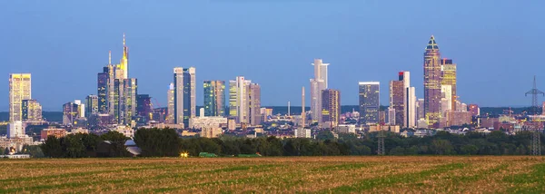 Frankfurt Városképe Előtérben Található Mezőkkel — Stock Fotó