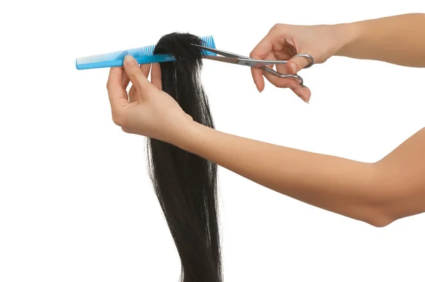 Hairdresser Cutting Young Woman Long Black Hair — Stock Photo, Image