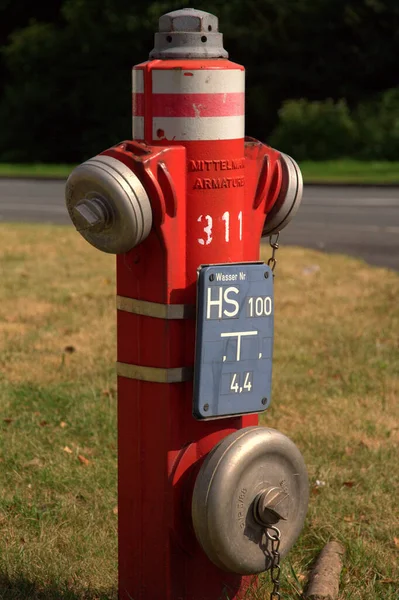 Пожарный Гидрант Парке — стоковое фото