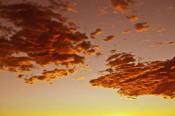 Impresionante Puesta Sol Desierto Arizona Con Nubes Doradas — Foto de Stock