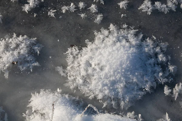 冰水表面 结满结冰的冰雹 — 图库照片