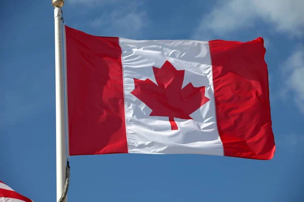 Bandera Canadiense Ondeando Viento — Foto de Stock