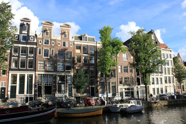 Нпз Гавани Амстердама — стоковое фото