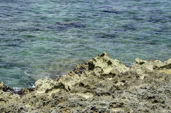 Yaz Doğası Deniz Kıyısı — Stok fotoğraf