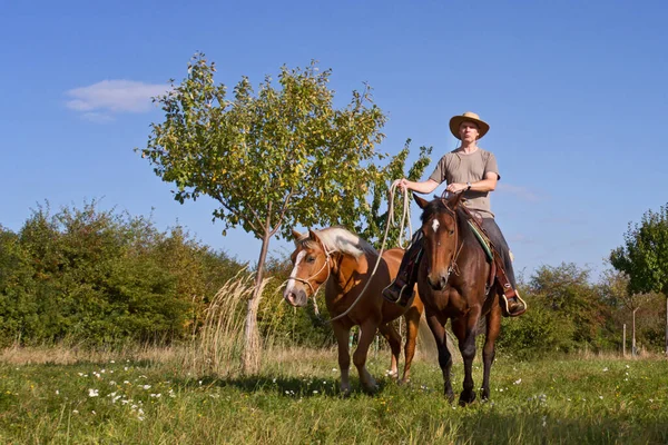 Animale Fattoria Attenzione Selettiva — Foto Stock