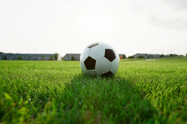 Classic Soccer Ball Grass Field — Stock Photo, Image