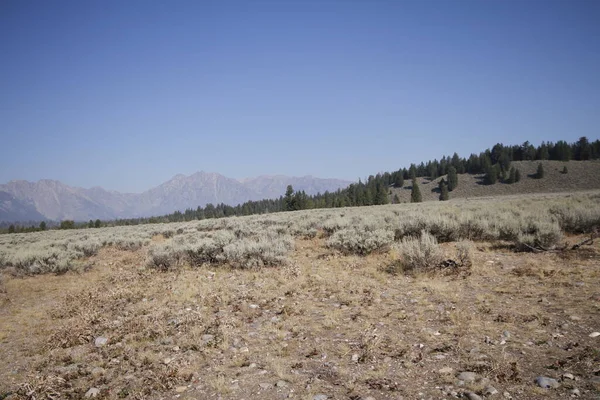 Park Narodowy Yellowstone Jest Parkiem Narodowym Stanach Zjednoczonych Czyni Najstarszym — Zdjęcie stockowe