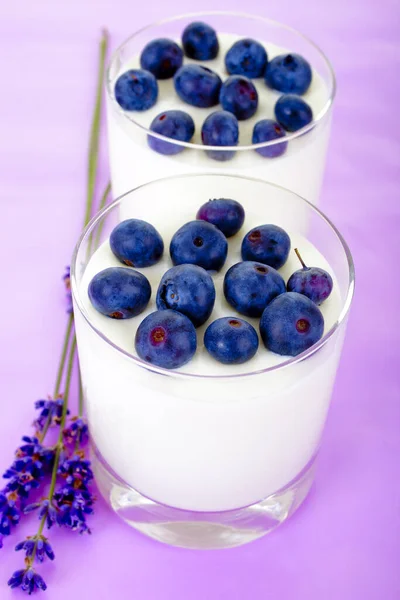 Čerstvý Jogurt Borůvkami — Stock fotografie