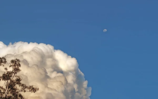 Meteoroloji Mavi Gökyüzünde Ayı Olan Beyaz Tüylü Kümülüs Fırtına Bulutu — Stok fotoğraf