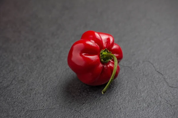 石板上的红色Habanero — 图库照片