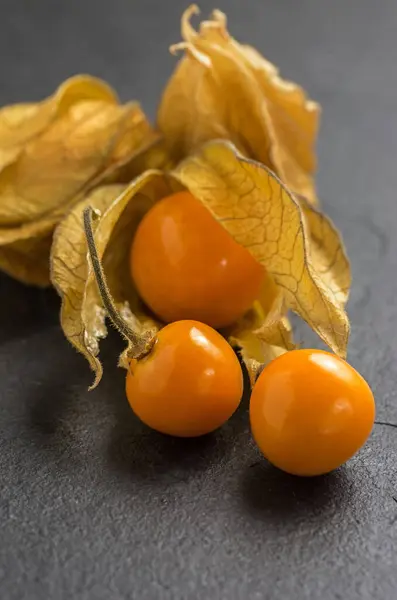 Physalis Břidlicové Desce — Stock fotografie