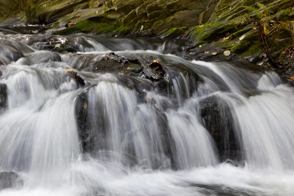 Selke Río Salvaje Romántico Harz —  Fotos de Stock