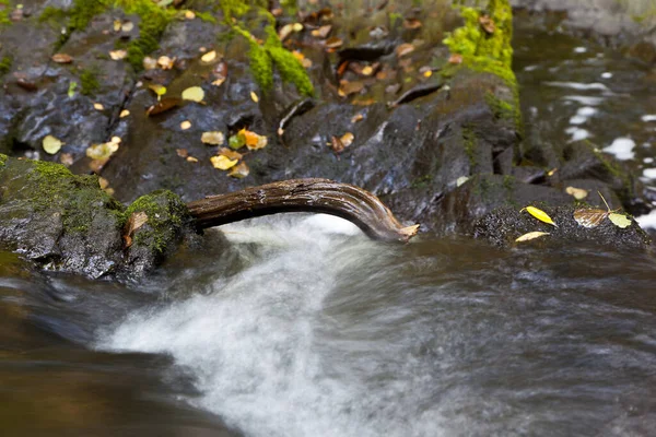 Selke Ένα Τραχιά Γραφικό Ποτάμι Στο Harz — Φωτογραφία Αρχείου