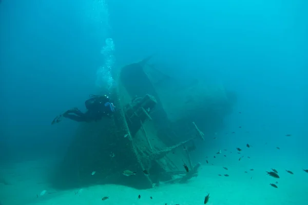 Unterwasserwelt Mittelmeer Elba — Stockfoto