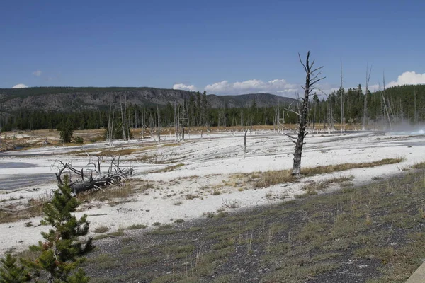 Yellowstone National Park Národní Park Spojených Státech Něj Dělá Nejstarší — Stock fotografie