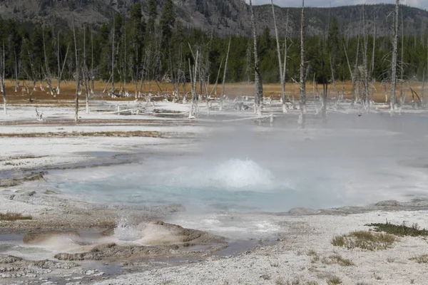 Park Narodowy Yellowstone Jest Parkiem Narodowym Stanach Zjednoczonych Czyni Najstarszym — Zdjęcie stockowe