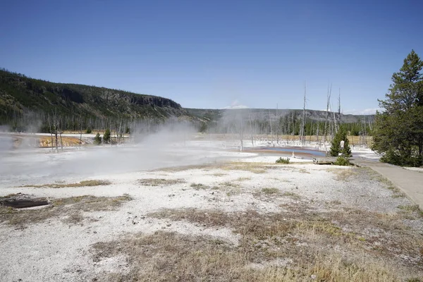 Yellowstone Grand Tetons Geyser — Stock Photo, Image